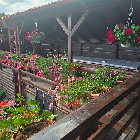 トゥルダ Casa Baciuヴィラ エクステリア 写真