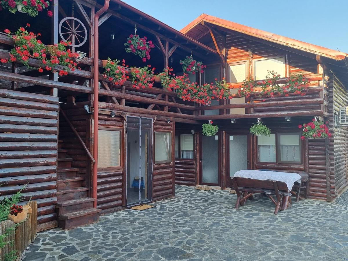トゥルダ Casa Baciuヴィラ エクステリア 写真