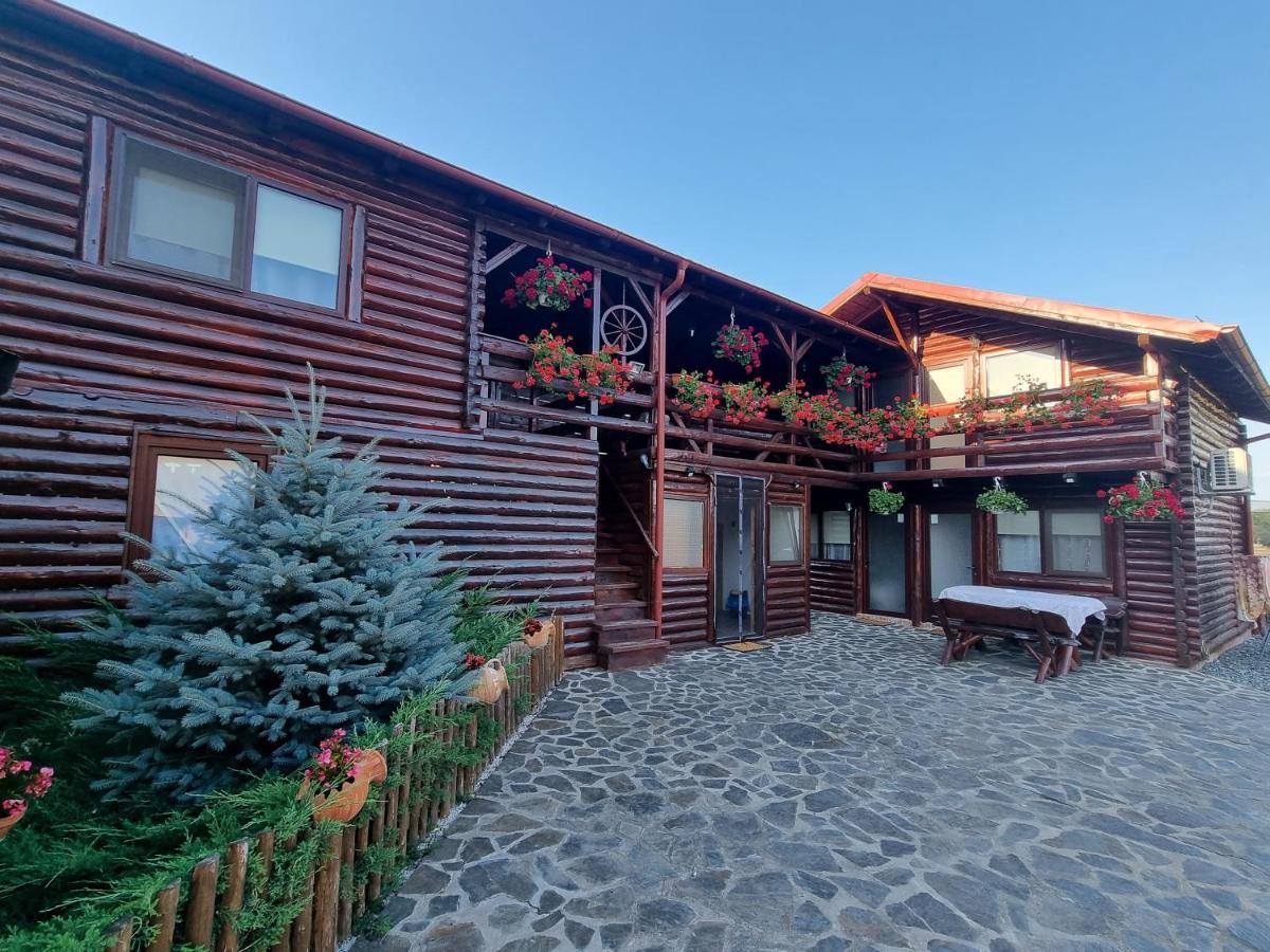 トゥルダ Casa Baciuヴィラ エクステリア 写真