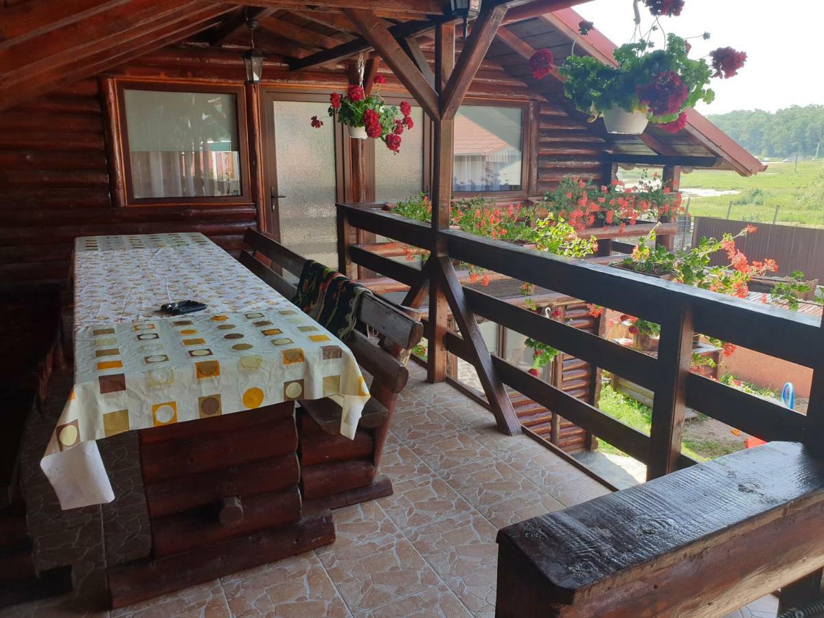 トゥルダ Casa Baciuヴィラ エクステリア 写真